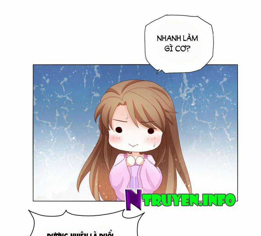 Nam Phi Nữ Tướng - Chapter 19 - Trang 5