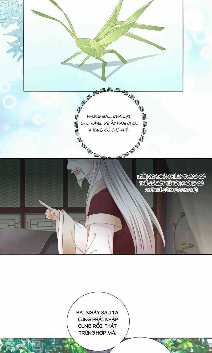 Nam Phi Nữ Tướng - Chapter 2 - Trang 17