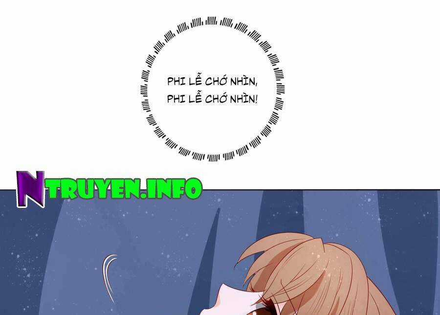 Nam Phi Nữ Tướng - Chapter 23 - Trang 17