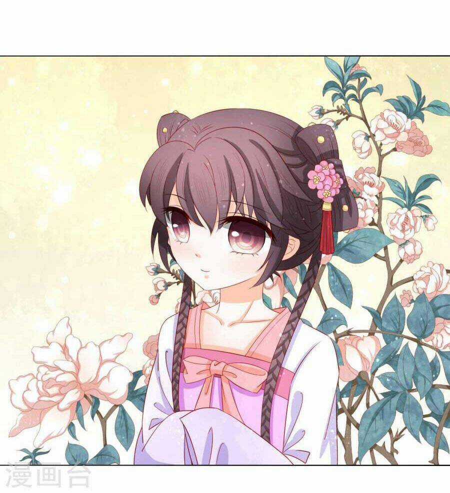 Nam Phi Nữ Tướng - Chapter 25 - Trang 5