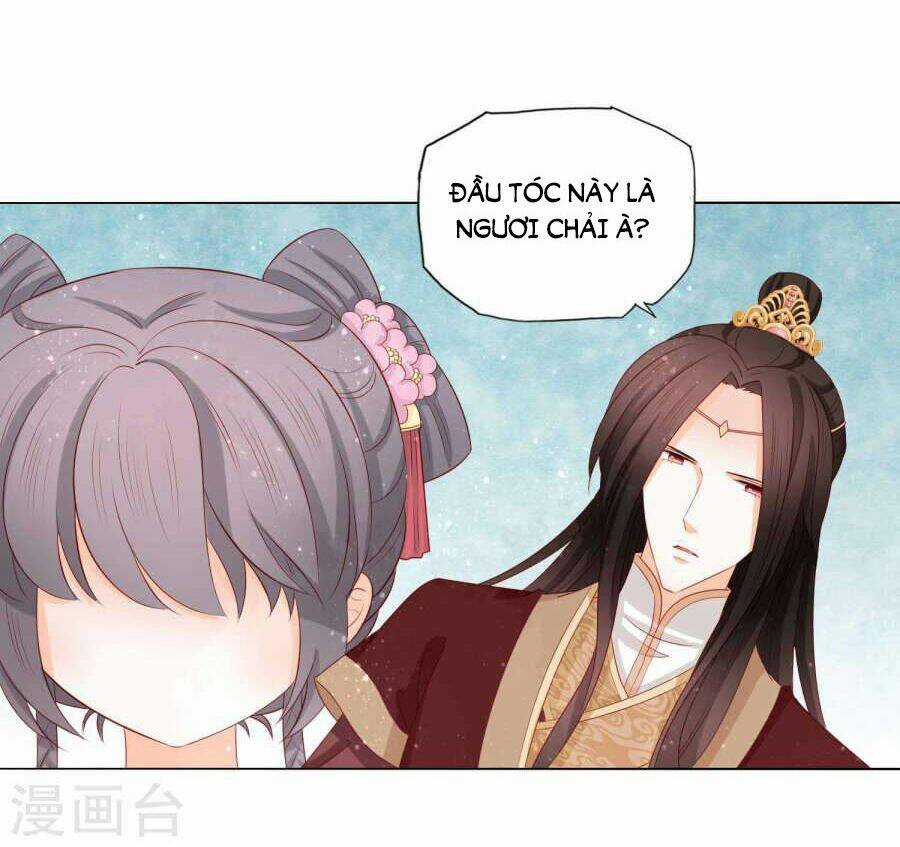 Nam Phi Nữ Tướng - Chapter 25 - Trang 9