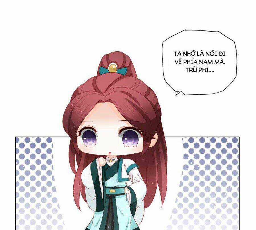 Nam Phi Nữ Tướng - Chapter 28 - Trang 5