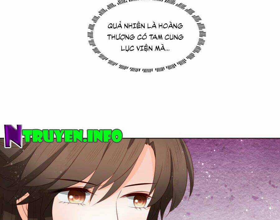 Nam Phi Nữ Tướng - Chapter 30 - Trang 5