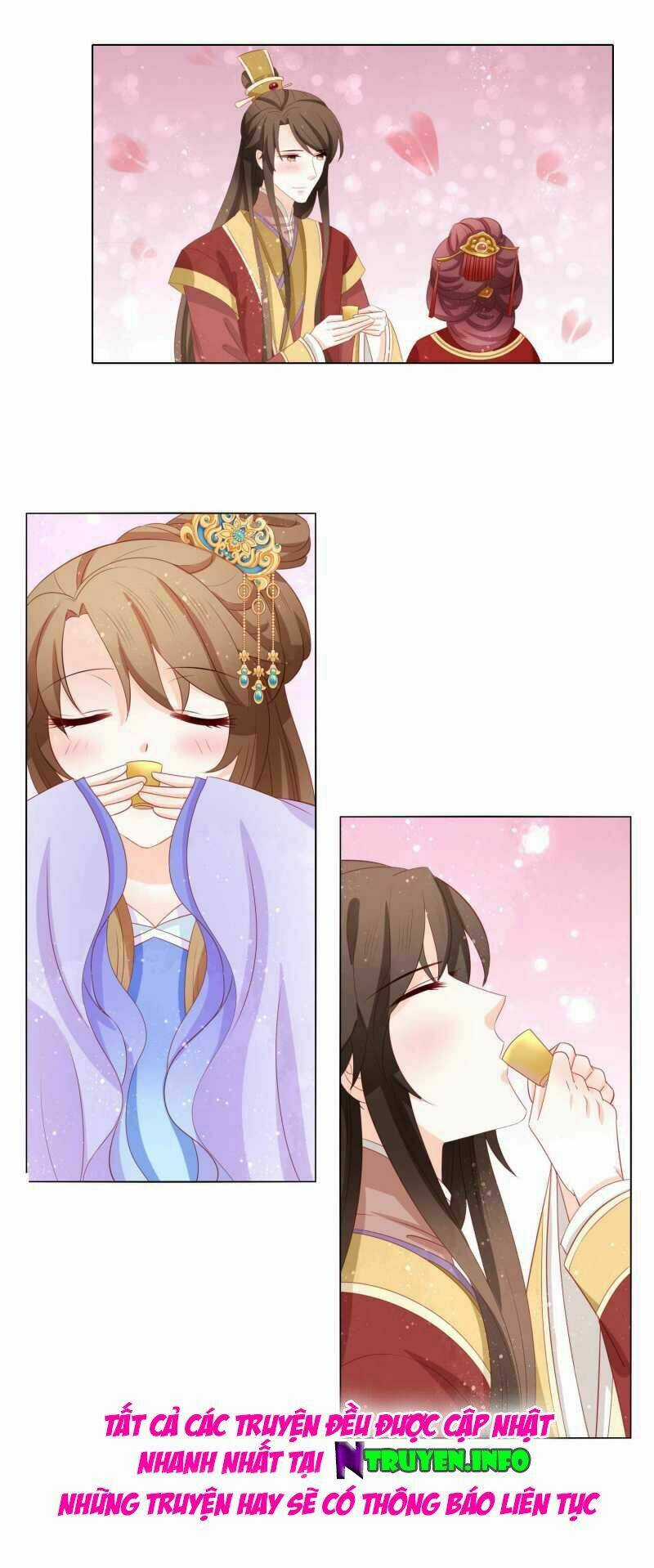 Nam Phi Nữ Tướng - Chapter 56 - Trang 16