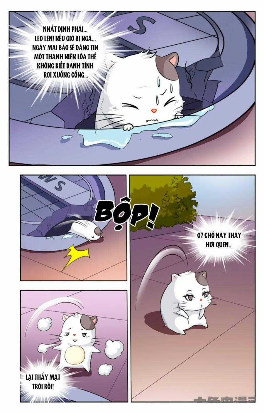 Nam Thần Của Tôi - Chapter 113 - Trang 7