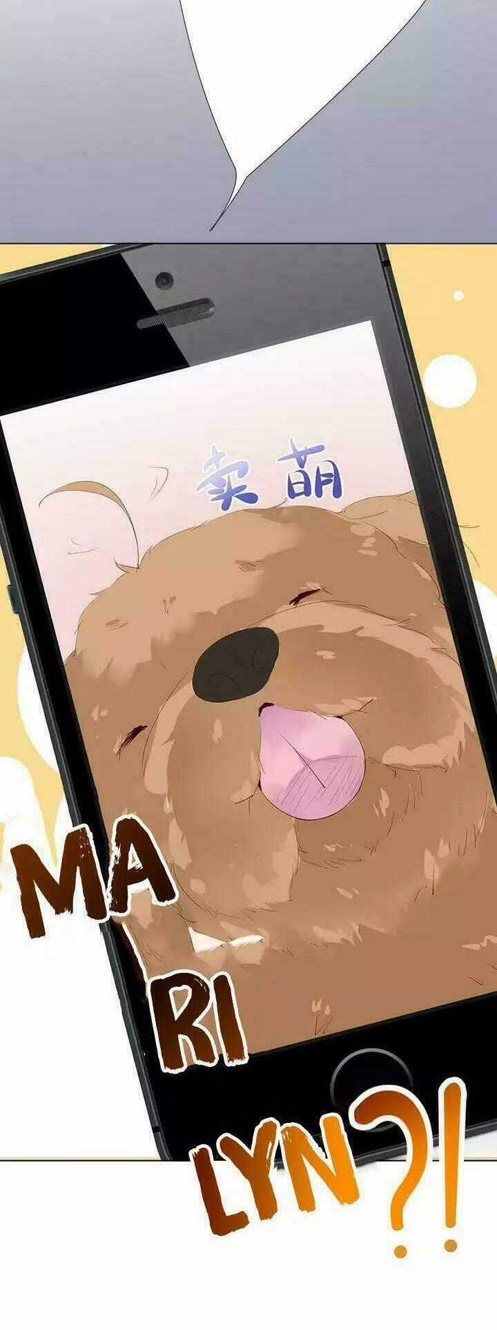 Nam Thần Là Một Đôi - Chapter 21 - Trang 17