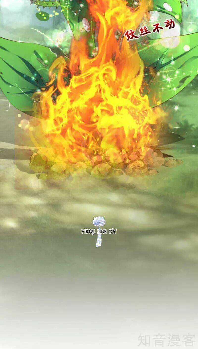 Nam Thần Là Một Đôi - Chapter 50 - Trang 34