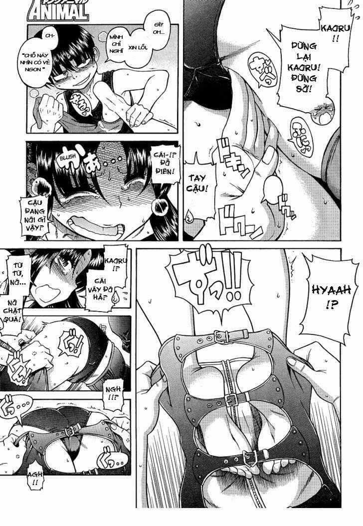 Nana To Kaoru - Chapter 55 - Trang 11