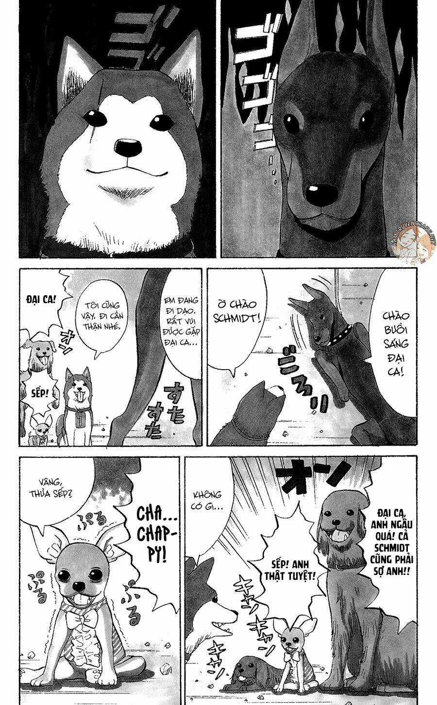 Nanba Mg5 - Chapter 34.5 - Trang 4