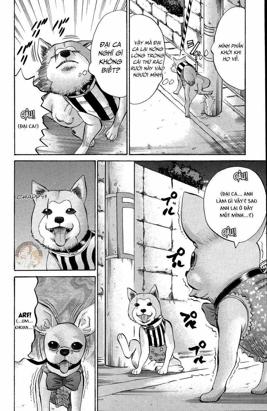 Nanba Mg5 - Chapter 42 - Trang 11