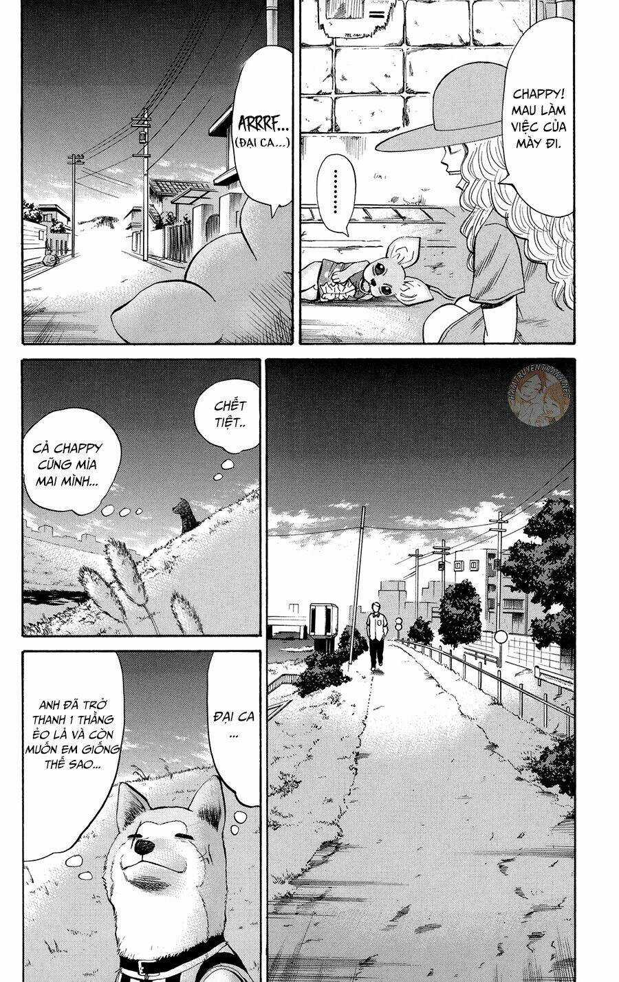 Nanba Mg5 - Chapter 42 - Trang 13