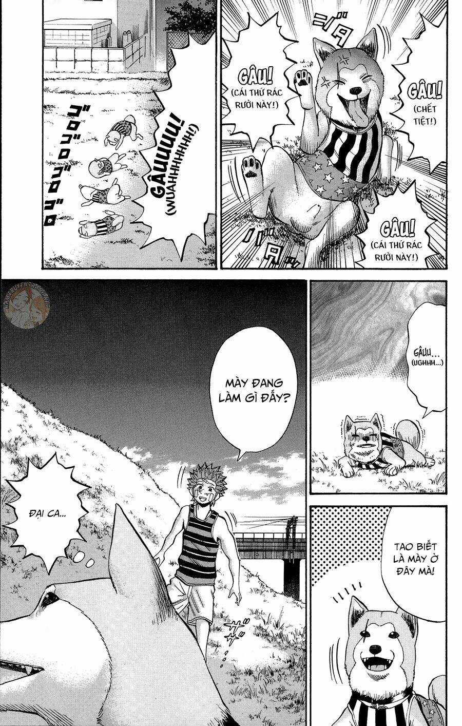 Nanba Mg5 - Chapter 42 - Trang 14