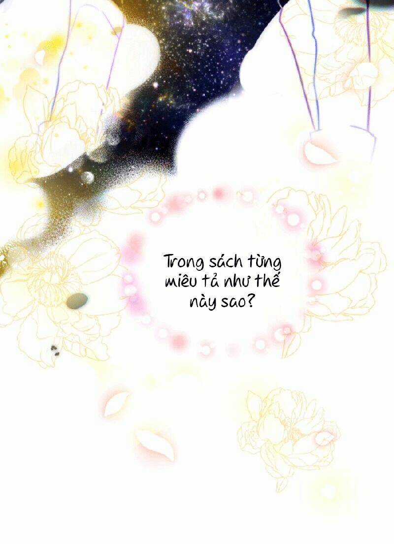 Nàng Elizabeth Thuần Khiết - Chapter 2 - Trang 6