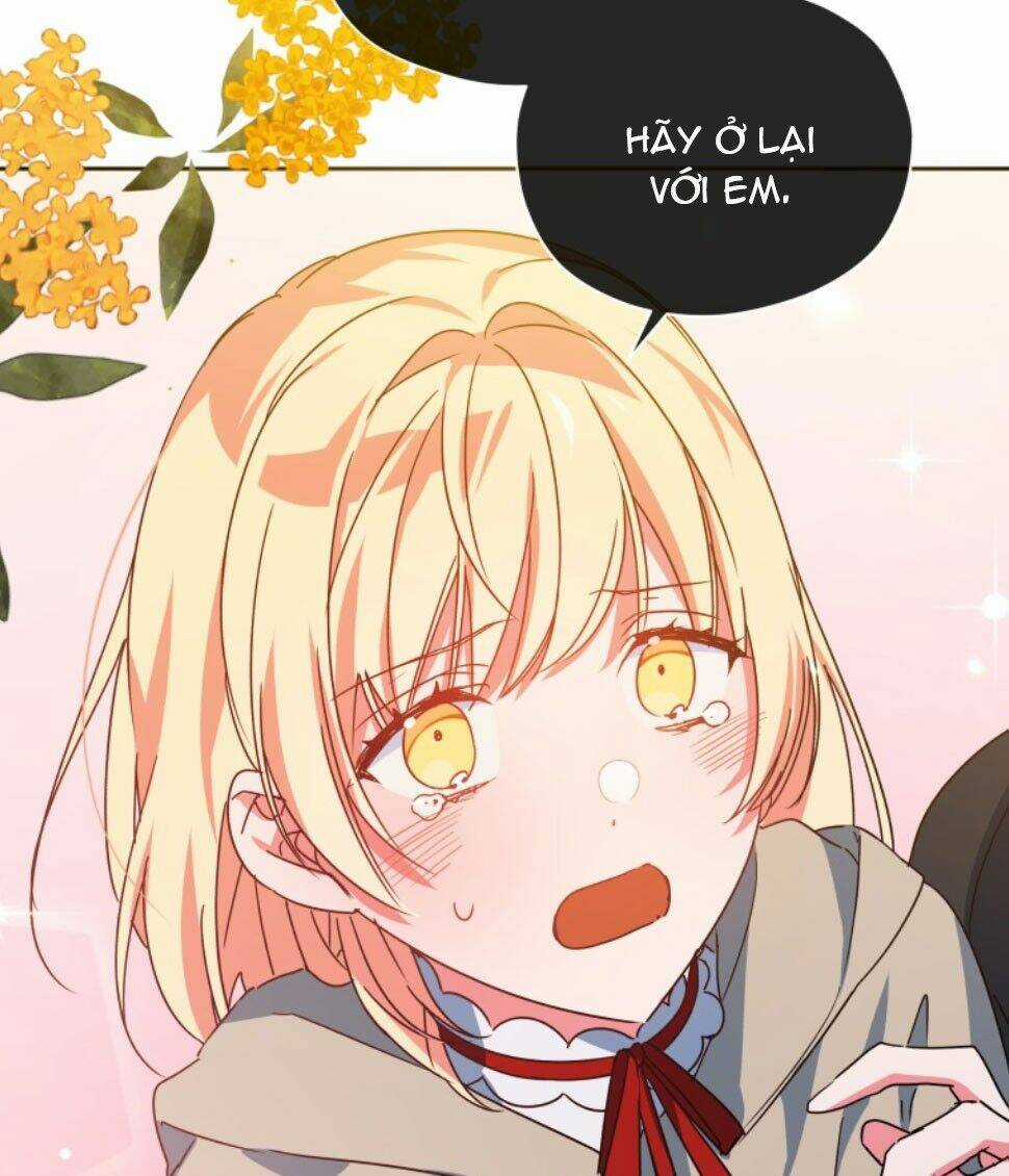 Nàng Elizabeth Thuần Khiết - Chapter 36 - Trang 5