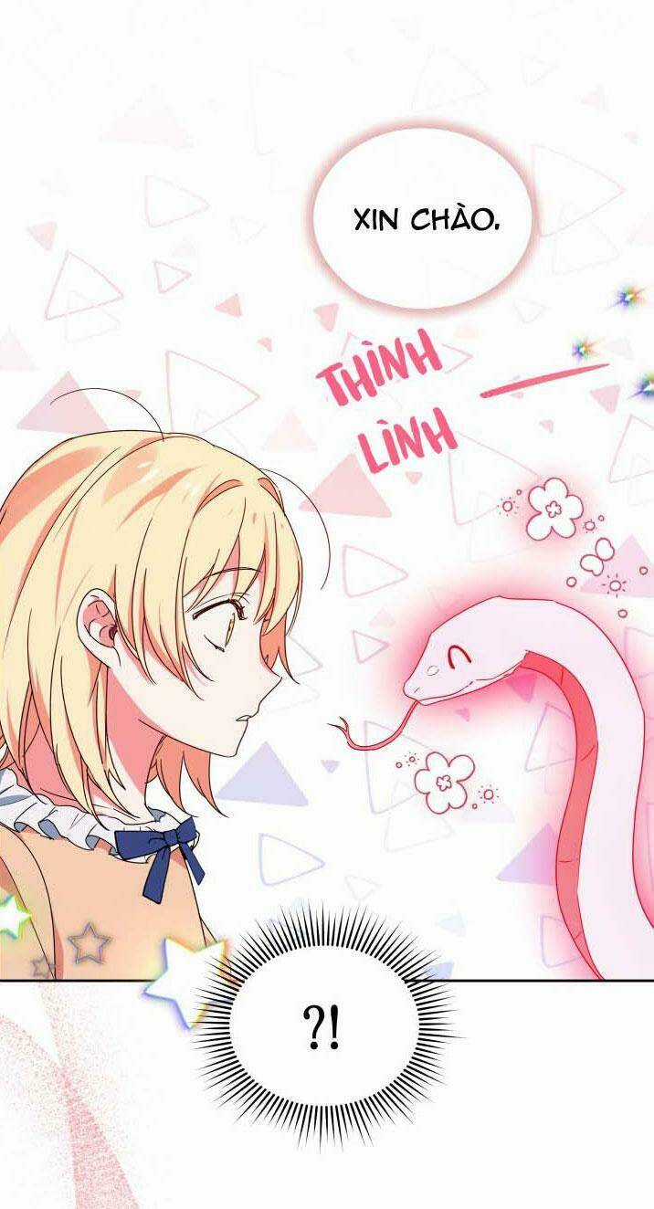 Nàng Elizabeth Thuần Khiết - Chapter 6 - Trang 4