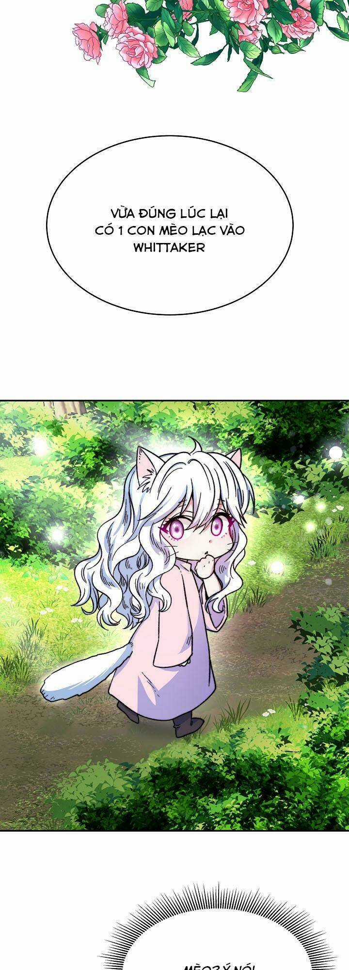 Nàng Evangeline - Chapter 13 - Trang 32