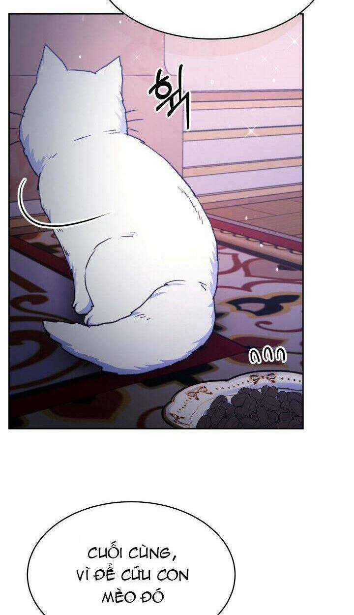 Nàng Evangeline - Chapter 24 - Trang 8