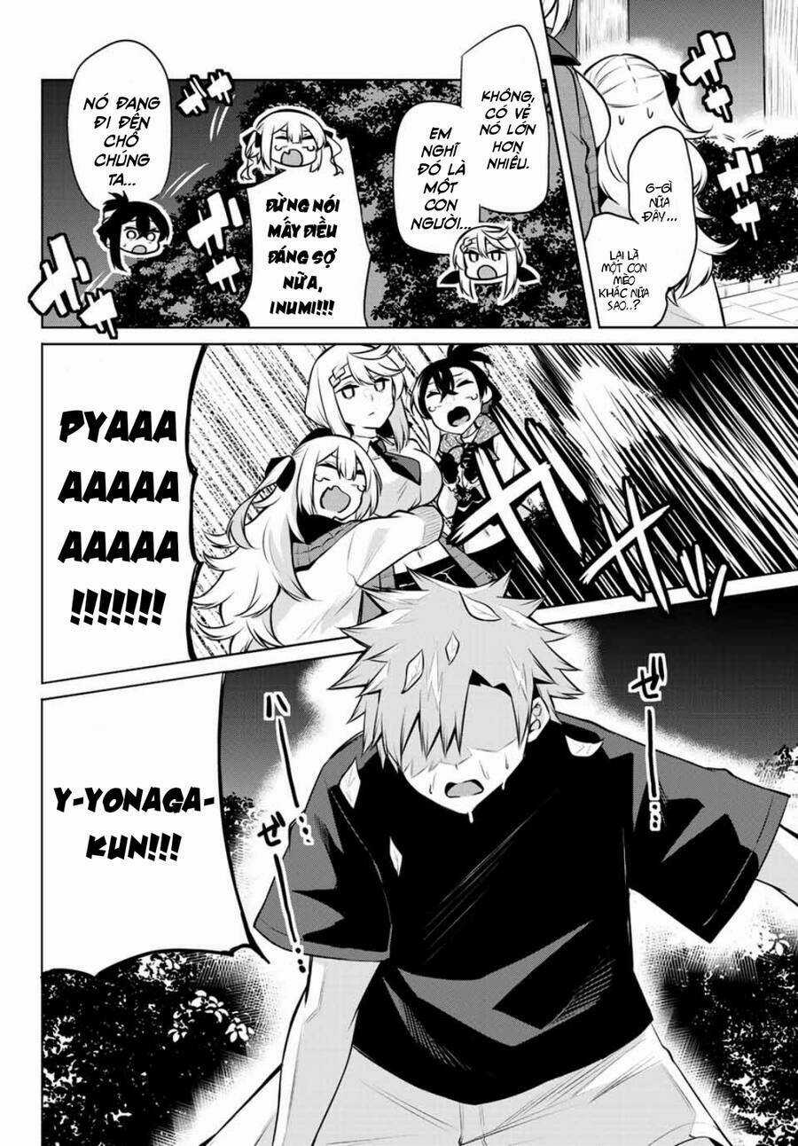 Nàng Trộm - Chapter 27 - Trang 11