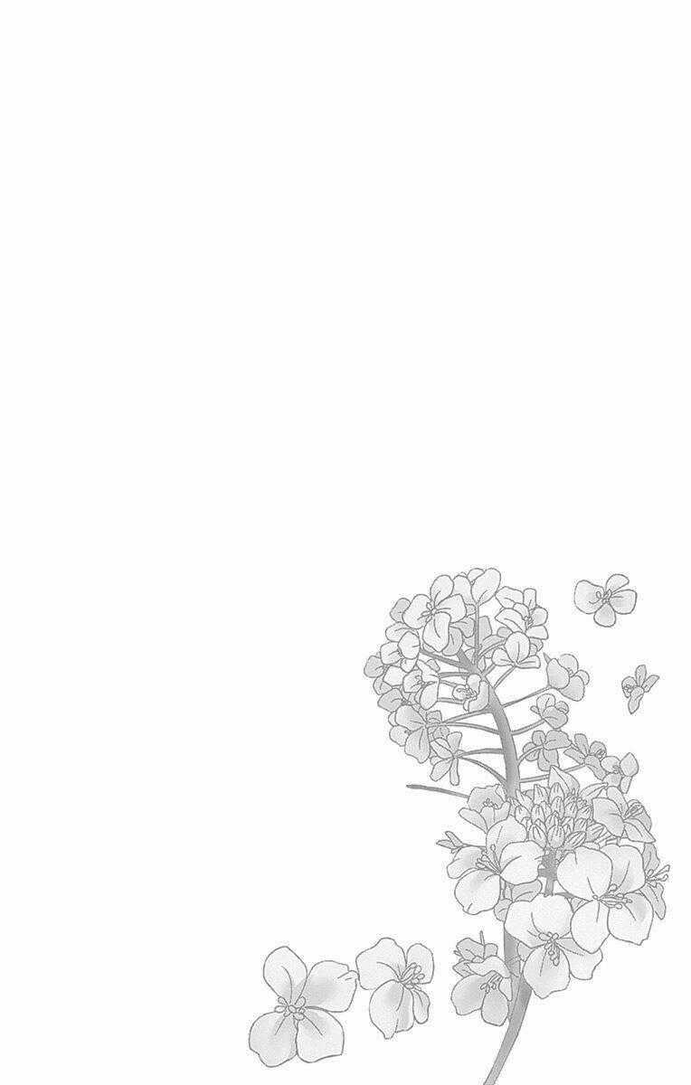 Nanoka No Kare - Chapter 82 - Trang 2