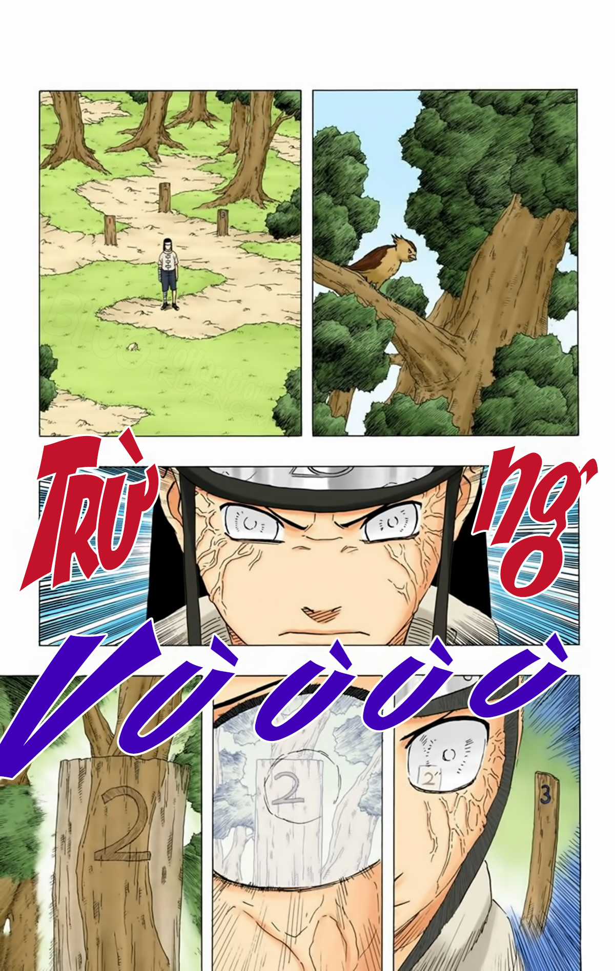 Naruto Full Color Edition - Chapter 172 - Trang 16