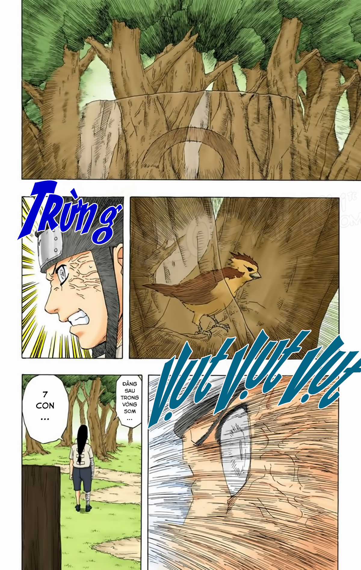 Naruto Full Color Edition - Chapter 172 - Trang 17