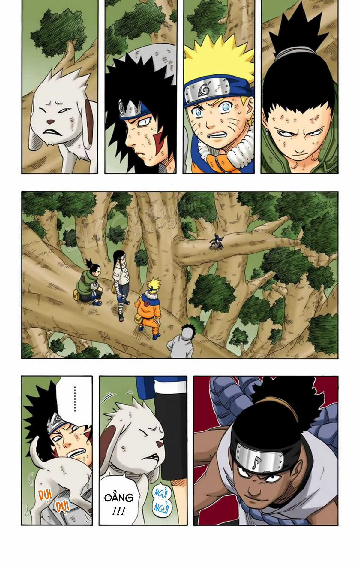Naruto Full Color Edition - Chapter 193 - Trang 5