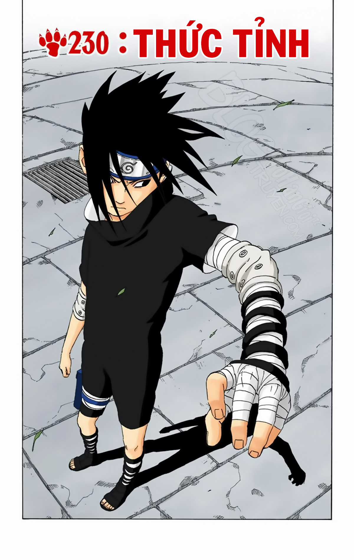 Naruto Full Color Edition - Chapter 230 - Trang 2