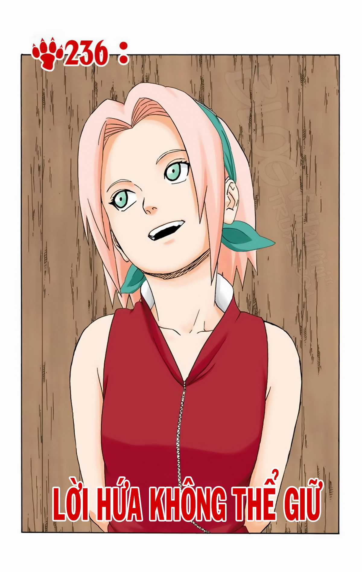 Naruto Full Color Edition - Chapter 236 - Trang 9