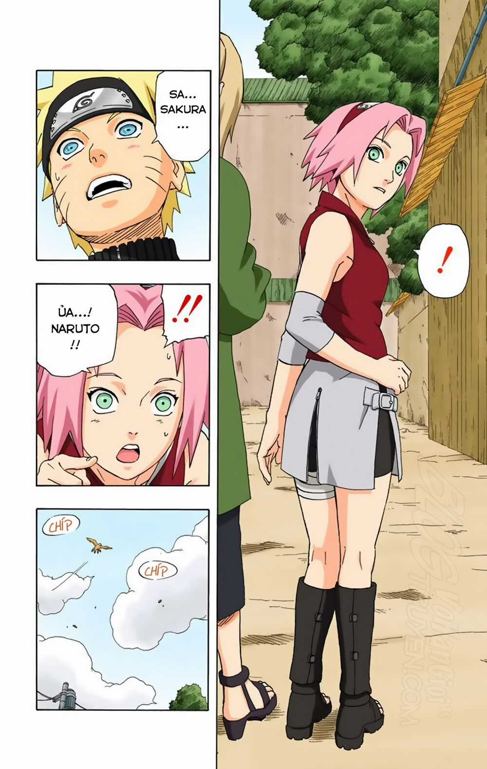 Naruto Full Color Edition - Chapter 245 - Trang 19