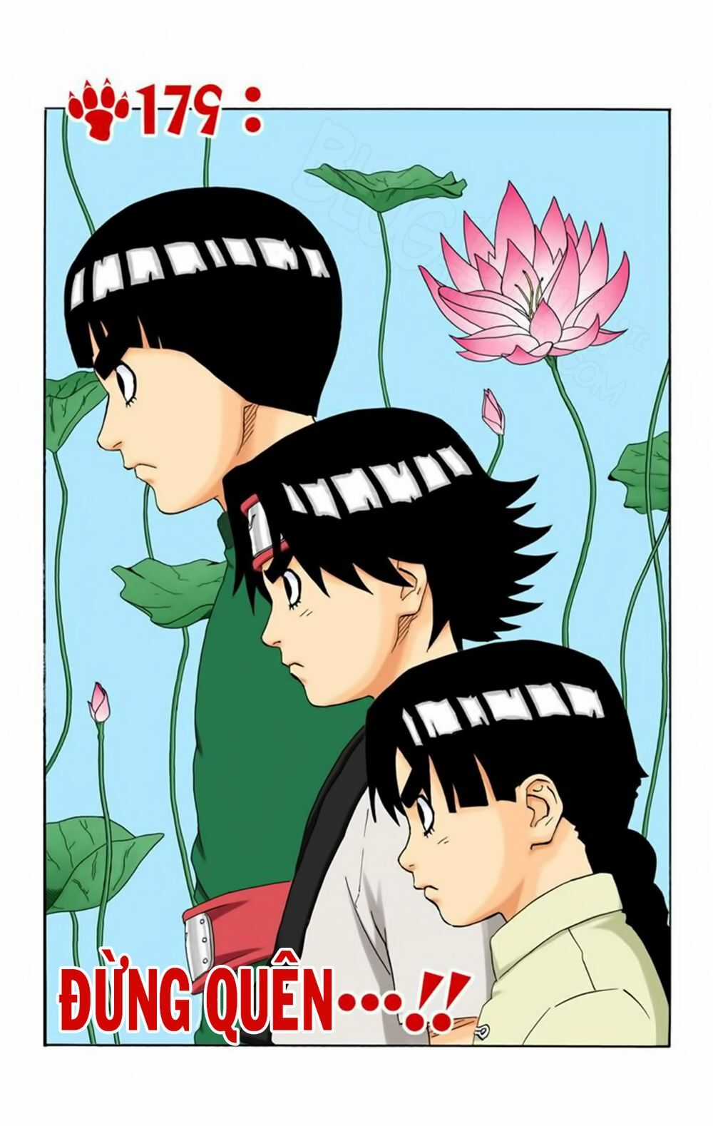 Naruto Full Màu - Chapter 179 - Trang 2