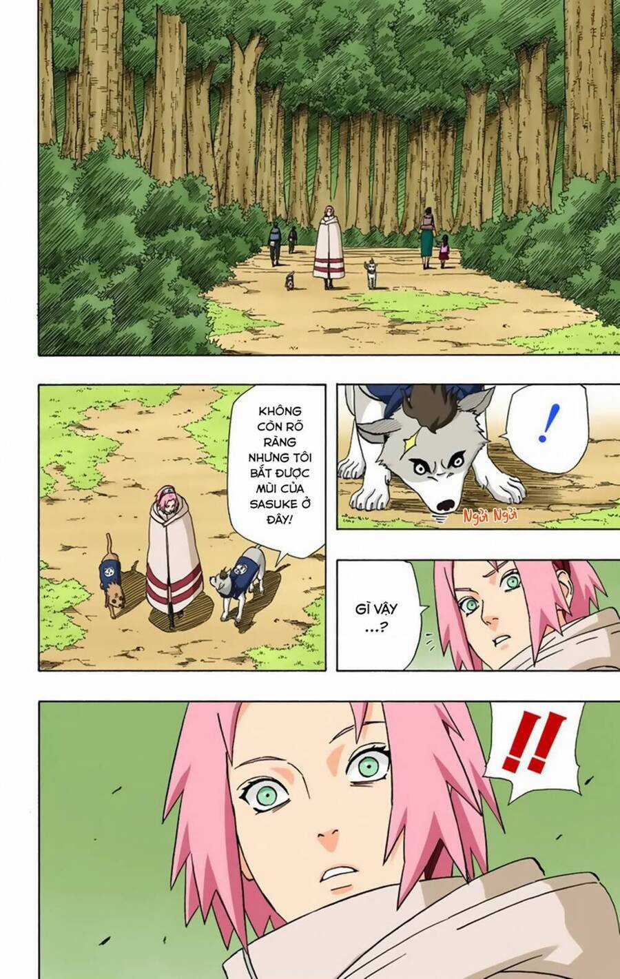 Naruto Full Màu - Chapter 355 - Trang 14