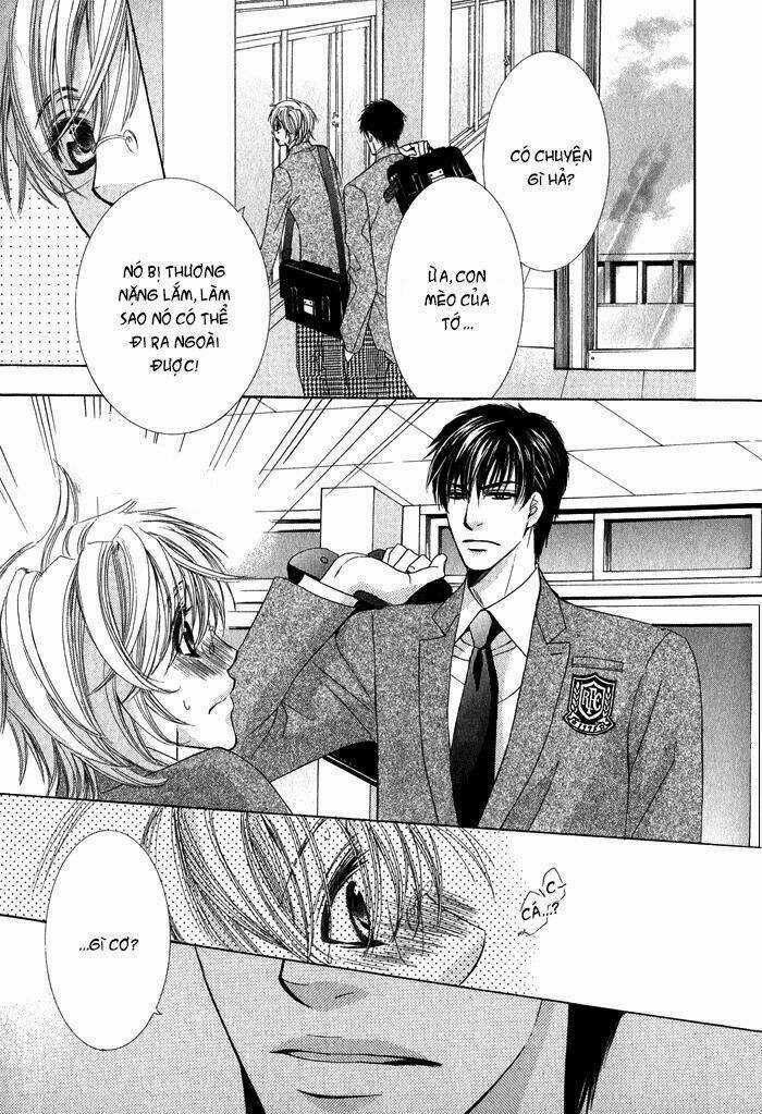 Neko Mata - Chapter 1 - Trang 14