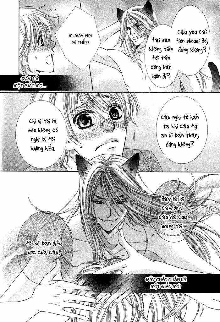 Neko Mata - Chapter 1 - Trang 25