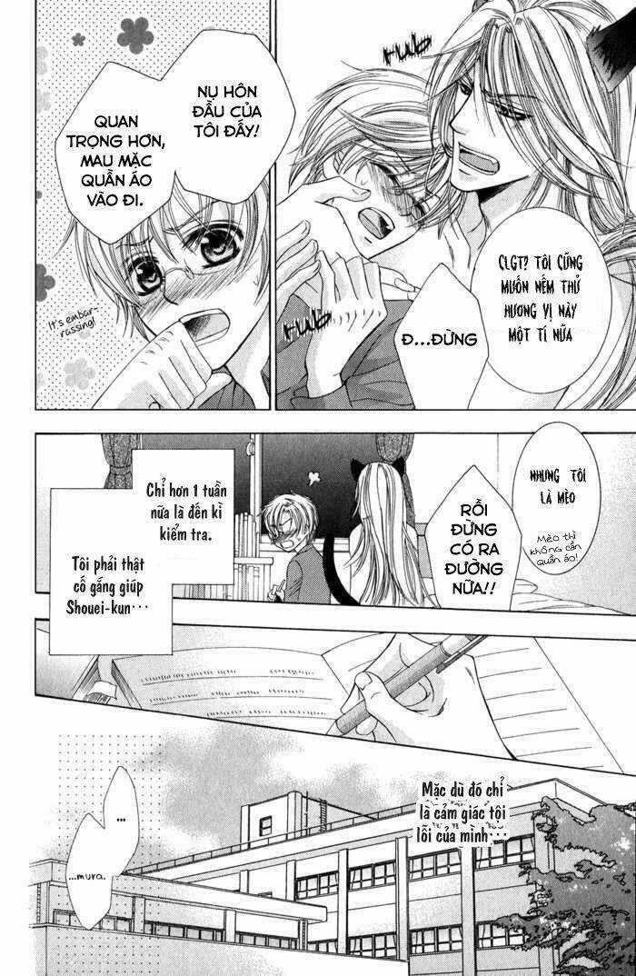 Neko Mata - Chapter 3 - Trang 7