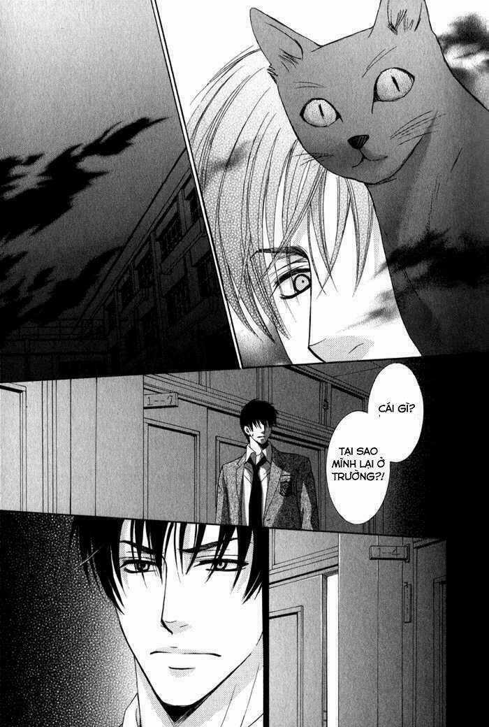 Neko Mata - Chapter 4 - Trang 20