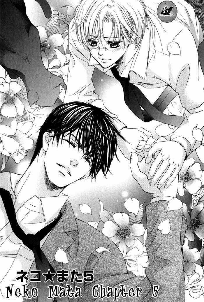 Neko Mata - Chapter 5 - Trang 2