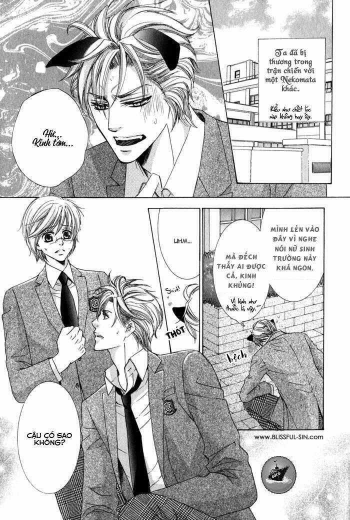 Neko Mata - Chapter 6 - Trang 3