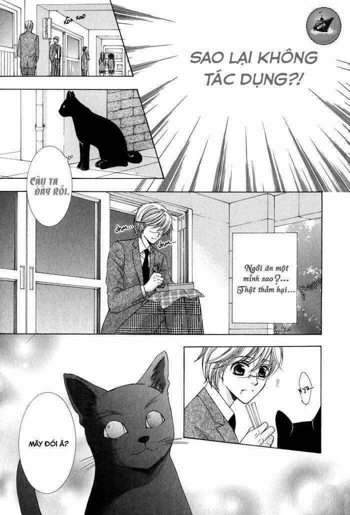 Neko Mata - Chapter 6 - Trang 5