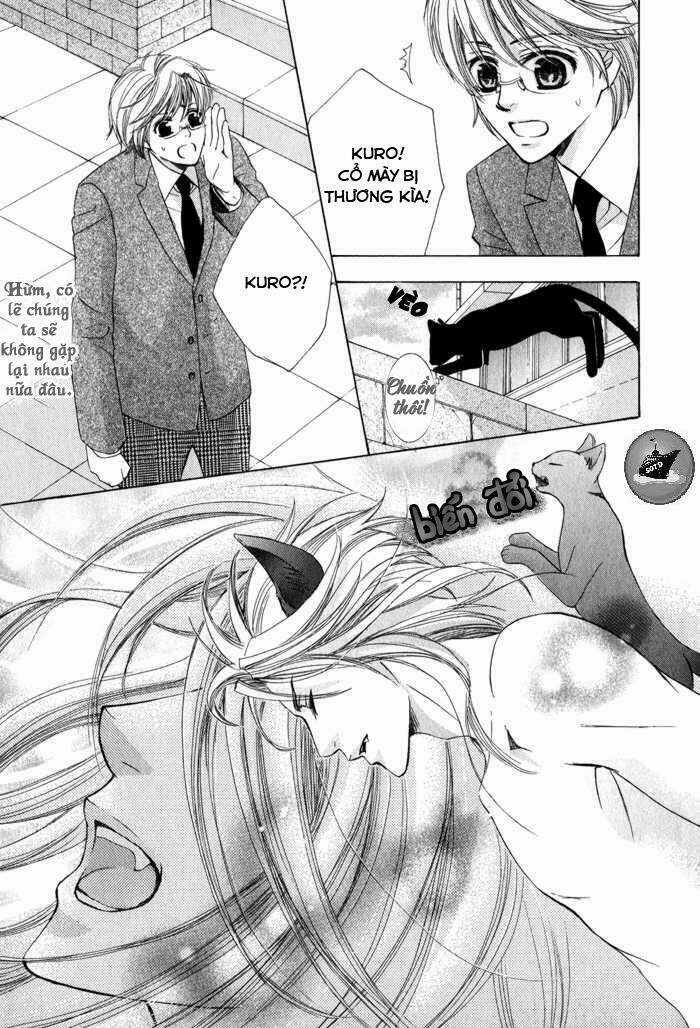 Neko Mata - Chapter 6 - Trang 7