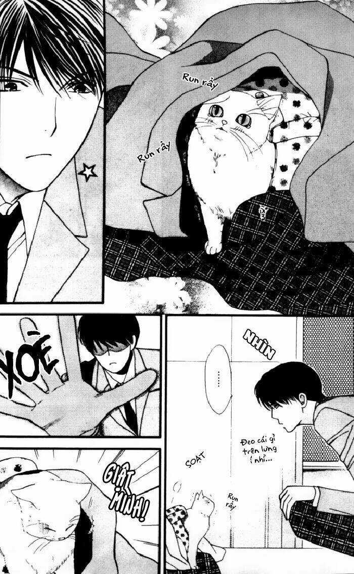 Neko Neko Honey - Chapter 1 - Trang 11