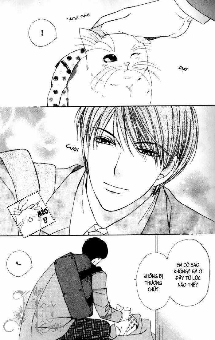 Neko Neko Honey - Chapter 1 - Trang 12