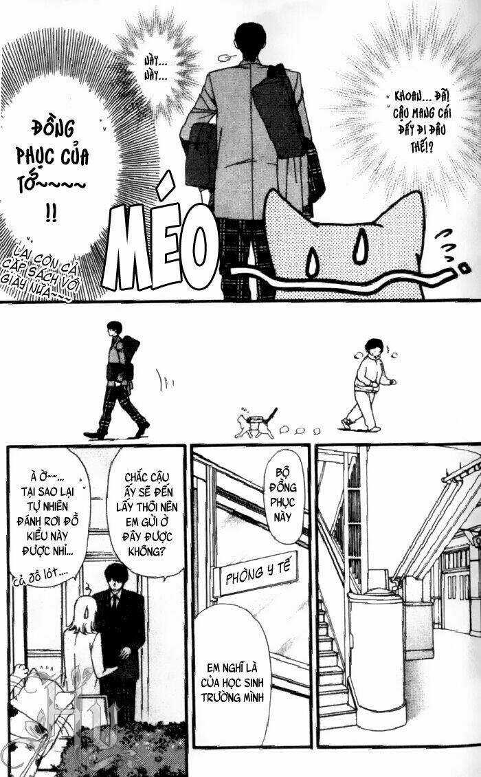 Neko Neko Honey - Chapter 1 - Trang 14