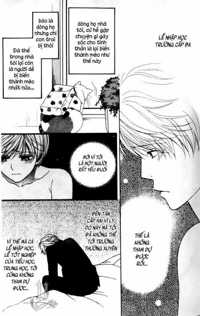 Neko Neko Honey - Chapter 1 - Trang 16