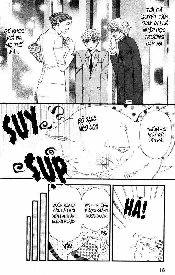 Neko Neko Honey - Chapter 1 - Trang 17