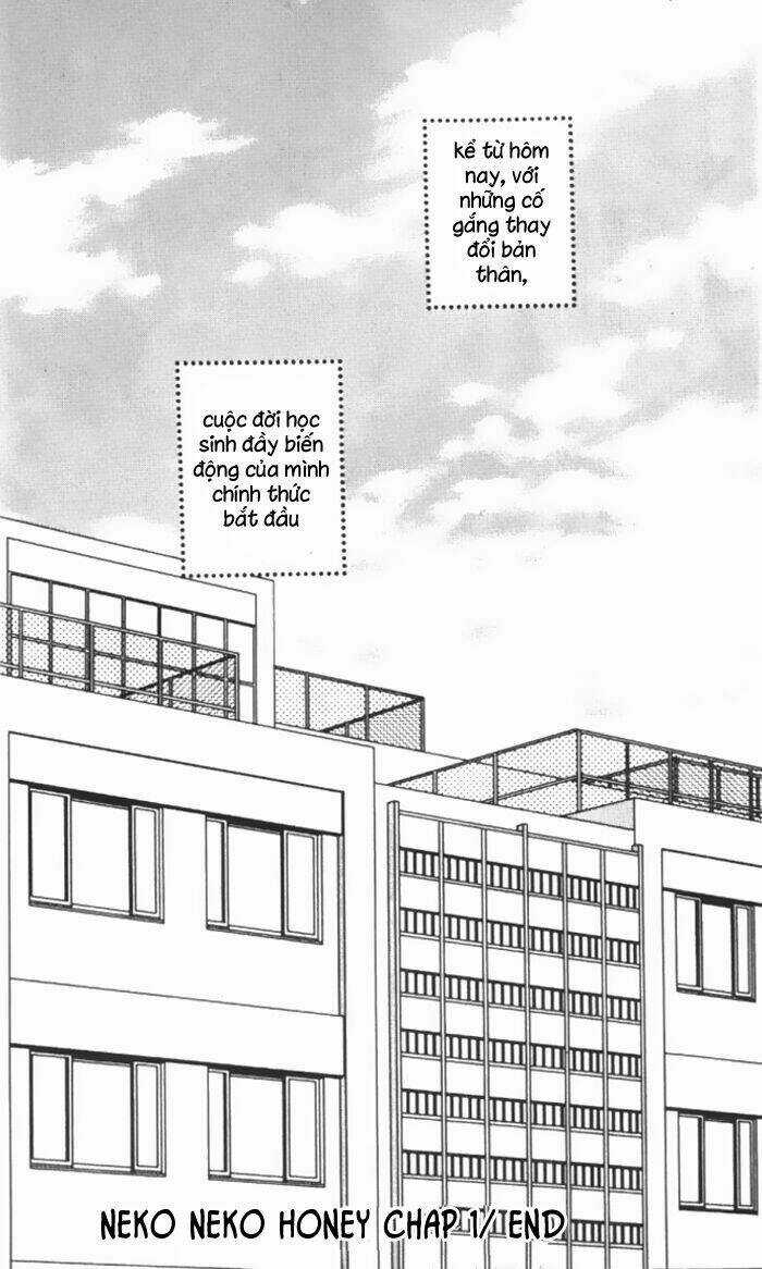 Neko Neko Honey - Chapter 1 - Trang 35