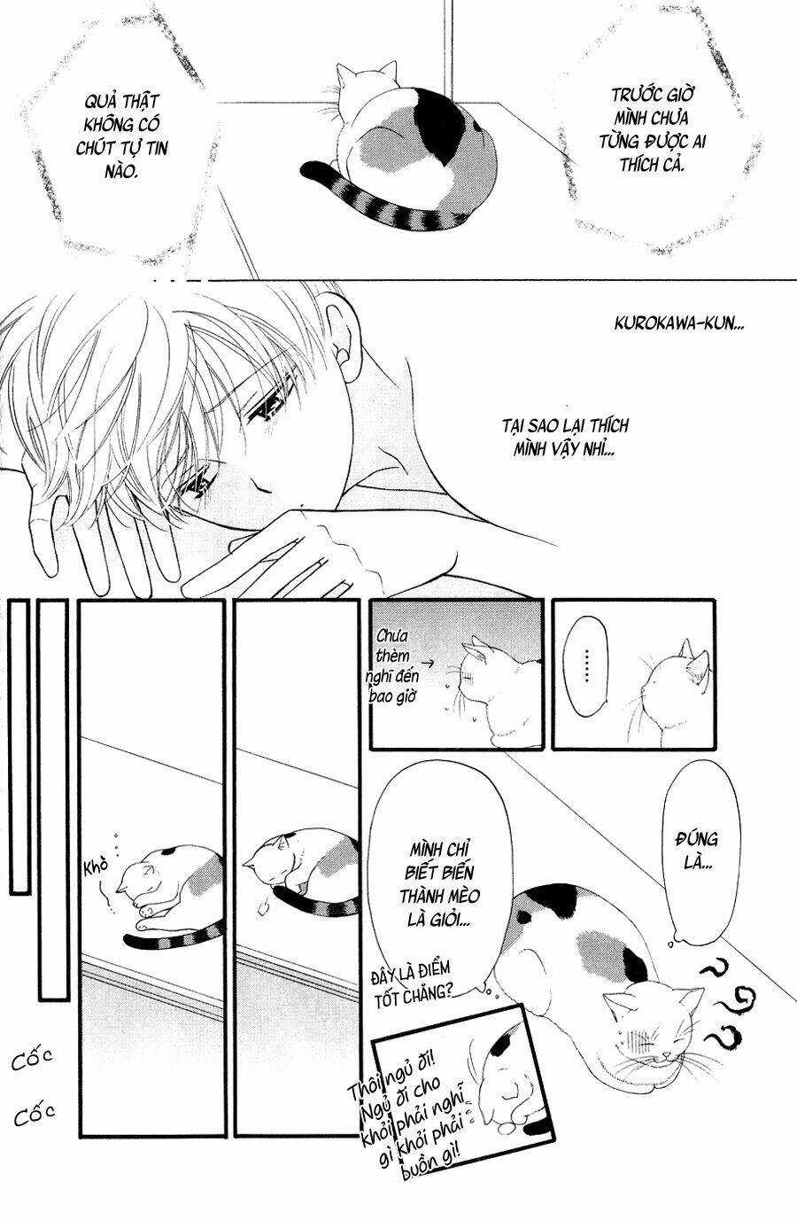 Neko Neko Honey - Chapter 10 - Trang 14