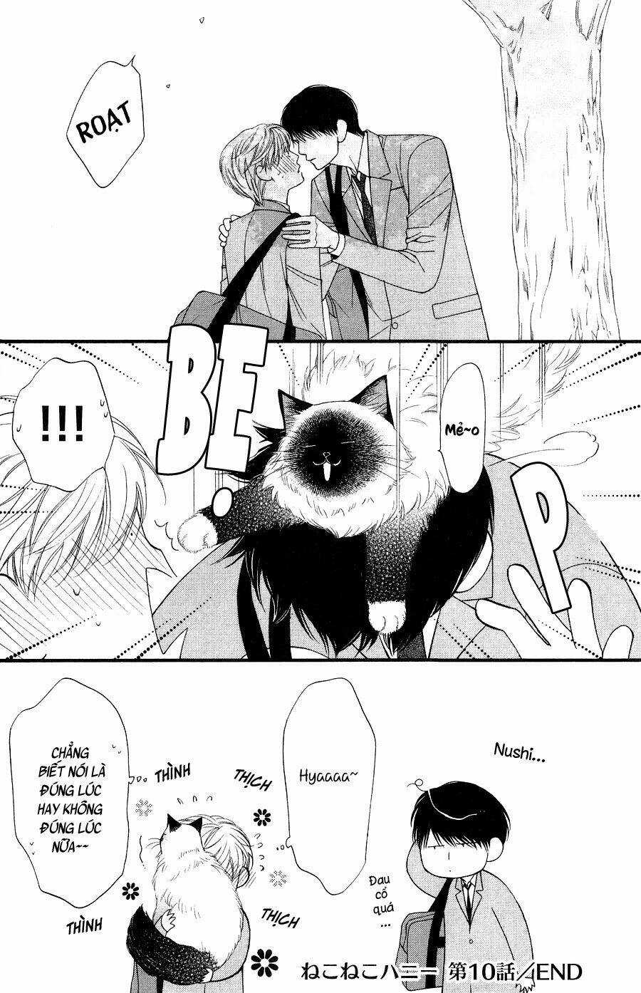 Neko Neko Honey - Chapter 10 - Trang 32