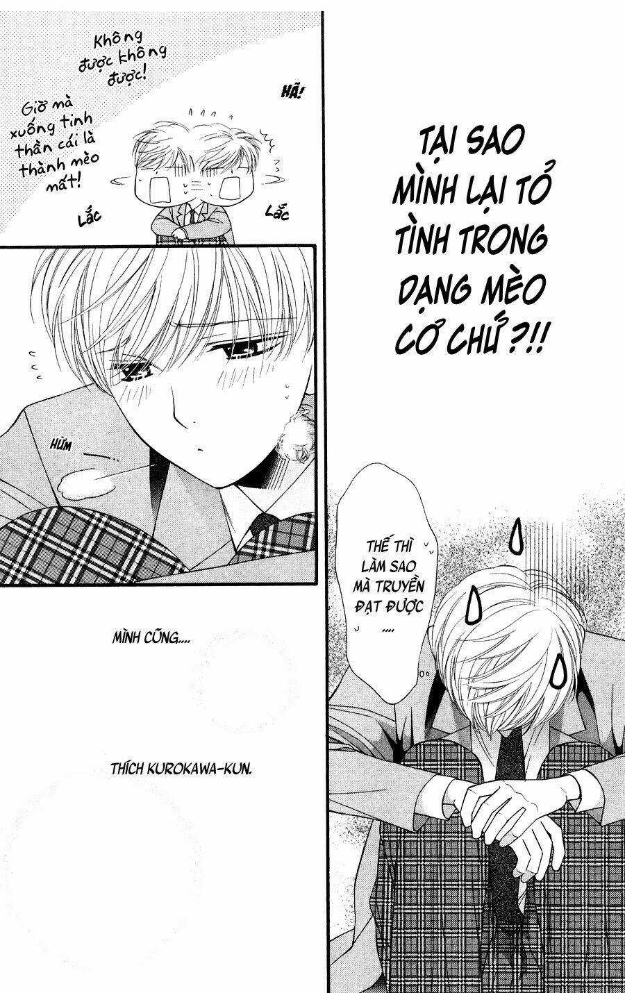 Neko Neko Honey - Chapter 10 - Trang 5
