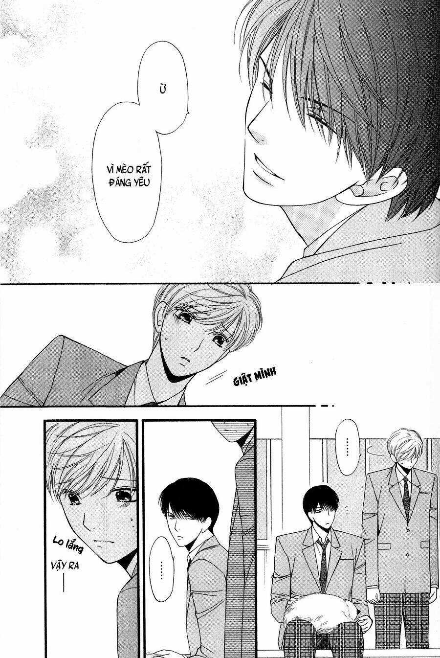 Neko Neko Honey - Chapter 11 - Trang 11