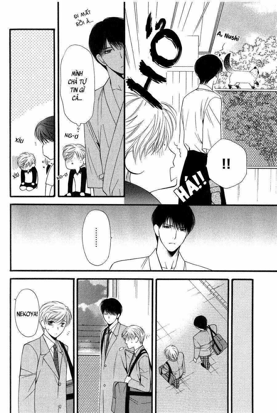 Neko Neko Honey - Chapter 11 - Trang 16